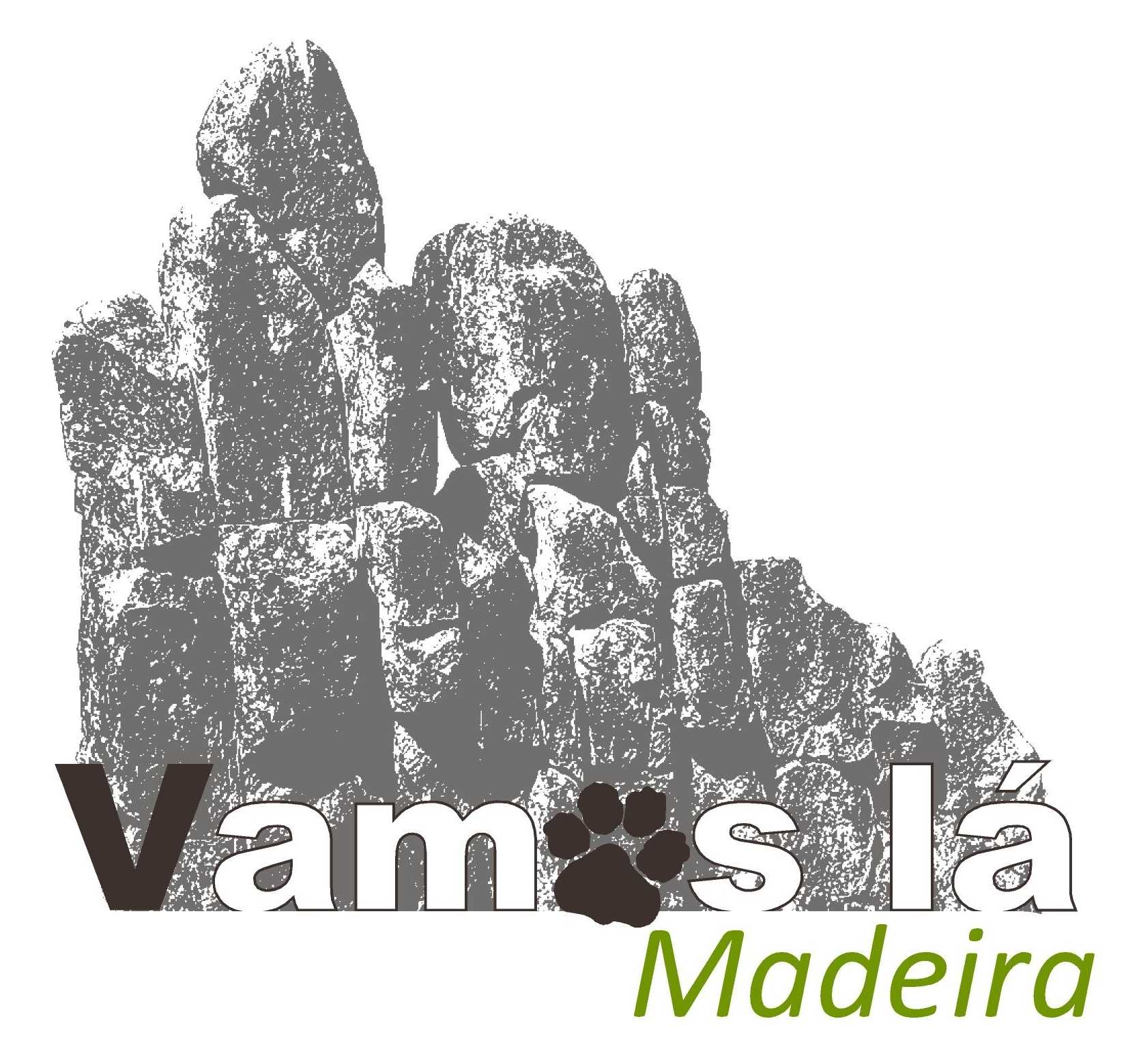 Logo Vl M