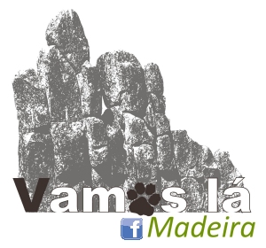 Logo Vl M facebook